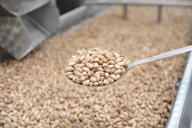 Antep fıstığı çıtlatma makinesi ihraç yolunda