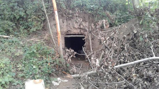 FETÖ imamı Adil Öksüz'ü arama çalışmaları sürüyor