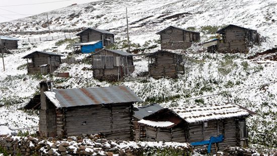 Ardahan'da erken gelen kar şaşırttı