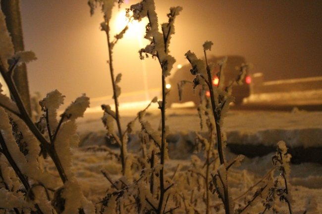 Doğu Anadolu'da her yer buz tuttu
