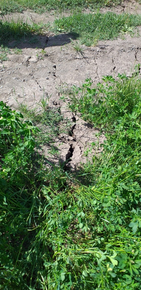 Ardahan'da bir köy heyelan riski nedeniyle boşaltıldı