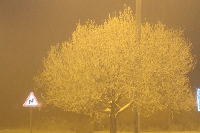 Doğu Anadolu'da her yer buz tuttu