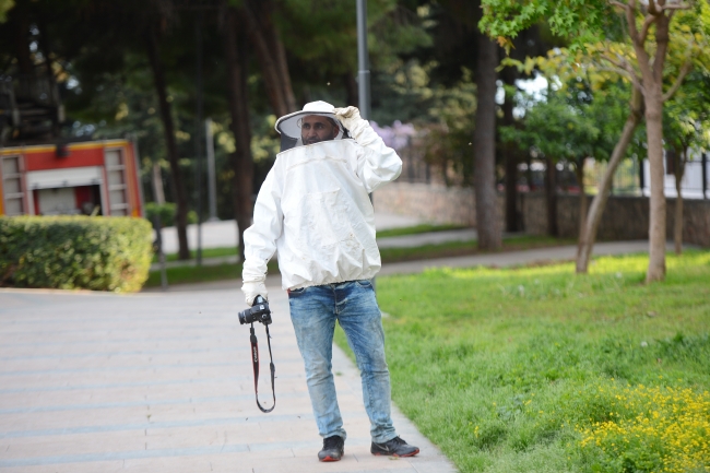 Antalya'da 'arı' operasyonu