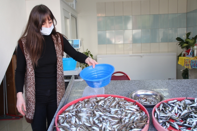 Artvinli balıkçı kız kardeşler çalışkanlıklarıyla örnek oluyor