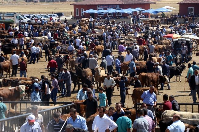 Doğu Anadolu'da kurban pazarlarında hareketlilik