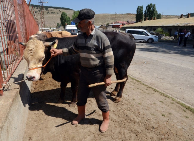 Doğu Anadolu'da kurban pazarlarında hareketlilik