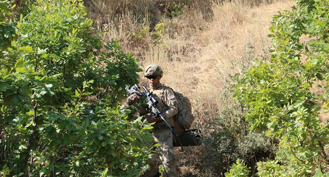 Bitlis'te Yıldırım-15 Mutki-Sarpkaya Operasyonu