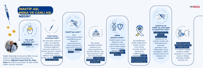 Grafik: Şeyma Özkaynak