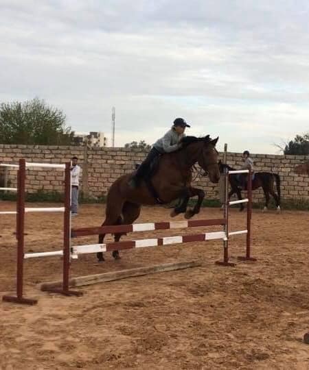 Libya'da Hafter'in saldırıları çocukları hayallerinden ediyor