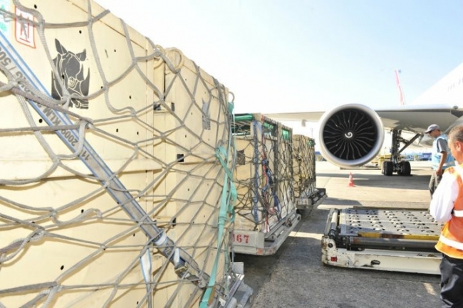 Turkish Cargo, 5 beyaz gergedanı Güney Afrika'dan Çin'e taşıdı