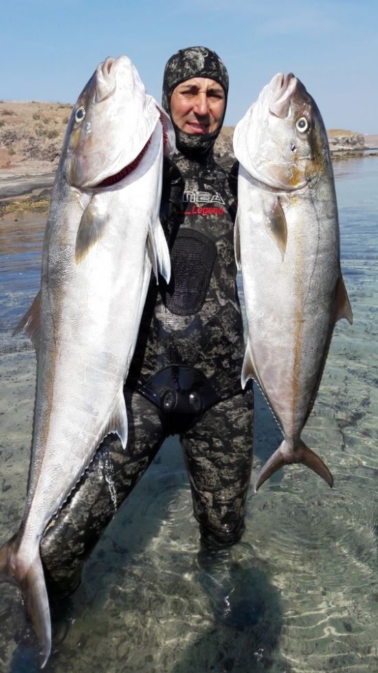 Zıpkınla boyu kadar balıkları avlıyor