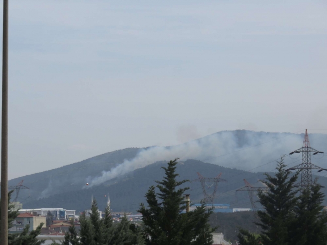İstanbul Aydos Ormanı'nda yangın