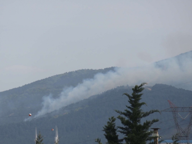 İstanbul Aydos Ormanı'nda yangın