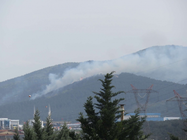 İstanbul Aydos Ormanı'nda yangın