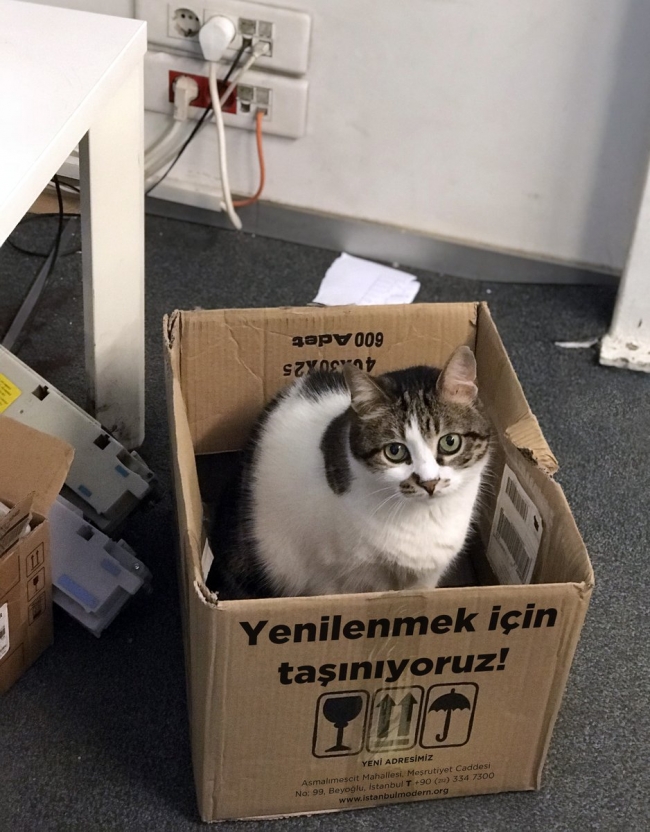 İstanbul Modern 14 yıllık binasından taşınıyor