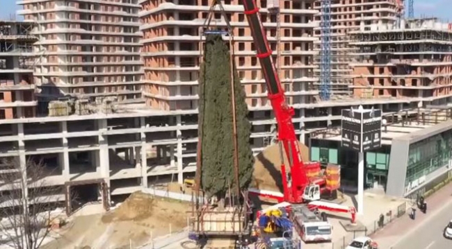 55 yıllık serviyi taşıma operasyonu