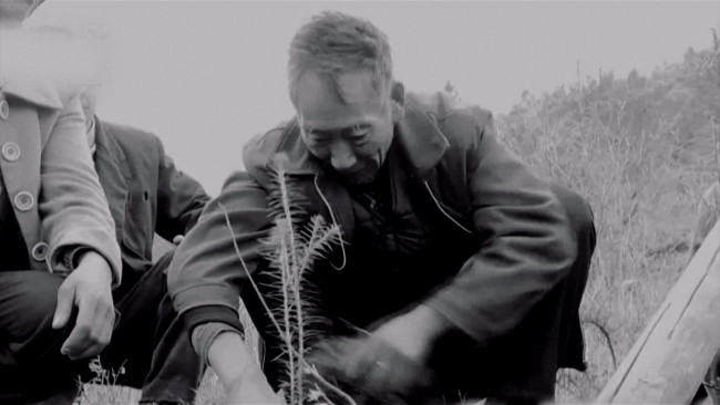 33 yılını ağaç dikmeye adadı, tek isteği gelecek nesillere yeşil bir dünya bırakmak