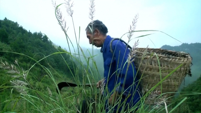33 yılını ağaç dikmeye adadı, tek isteği gelecek nesillere yeşil bir dünya bırakmak