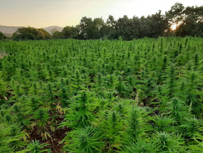 Fotoğraf: TRT Haber