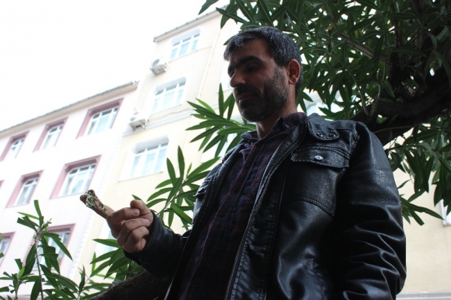 Ender rastlanan "mekik kelebeği" İstanbul'da bulundu