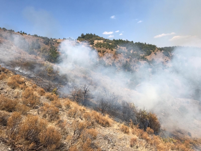 Soğuksu Milli Parkı'nda 30 dönüm ormanlık alan yandı