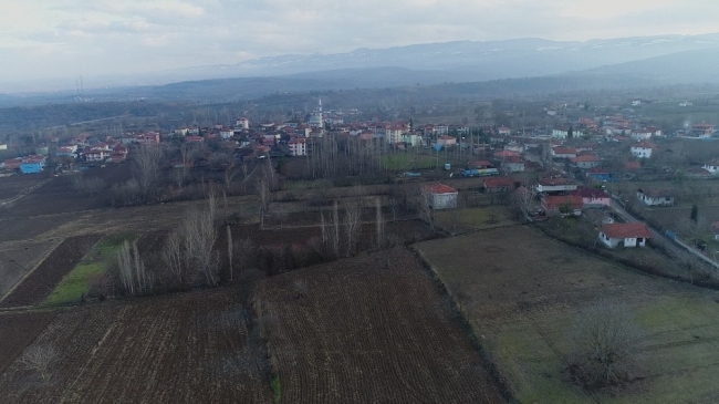 Samsun Vezirköprü Türkiye’nin kenevir ekim merkezi olacak