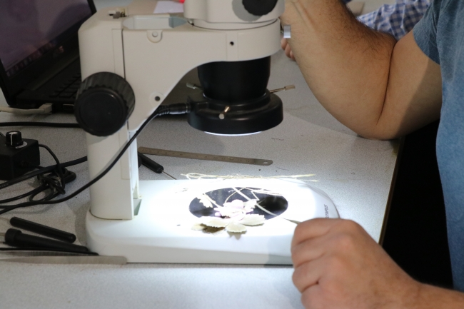 Türkiye, Polonya, Somali ve Kuveyt'le anlaşmalar imzaladı