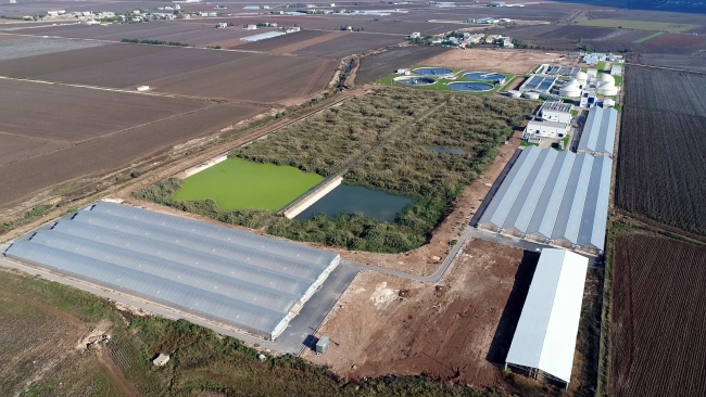 Atık sular elektrik ve gübreye dönüşüyor