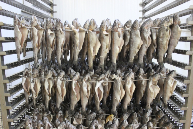 Denizi olmayan kentten 80 ülkeye balık ihracatı