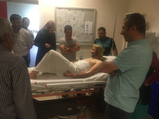 Muş'ta pikniğe giden vatandaşlar ayı saldırısına uğradı