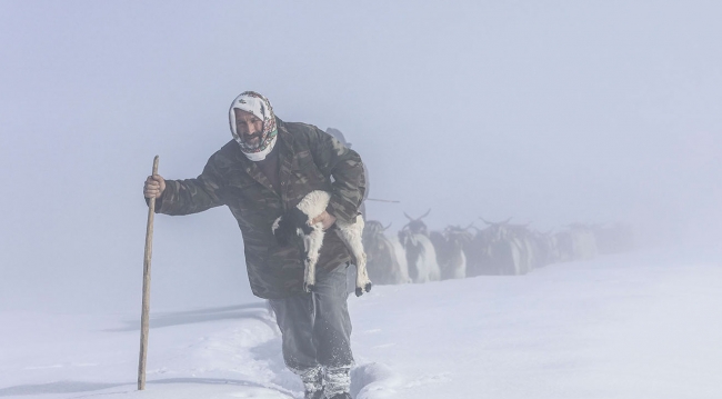 Anadolu Ajansı ''Yılın Fotoğrafları'' oylamasında Kabine üyeleri de oylarını kullanıyor