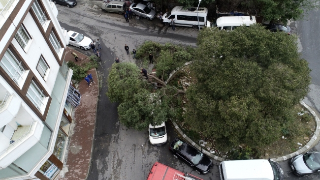 Kuvvetli fırtına Maltepe'de bir okulun çatısını uçurdu