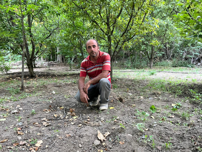 Ayı bahçesine girince kuzeninin evine sığındı