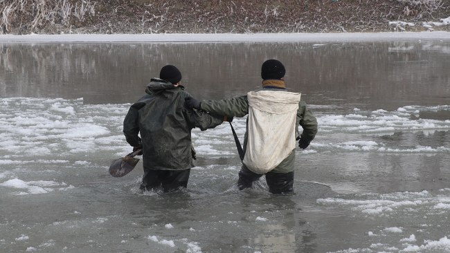 Buz gibi suya ağ atıyorlar