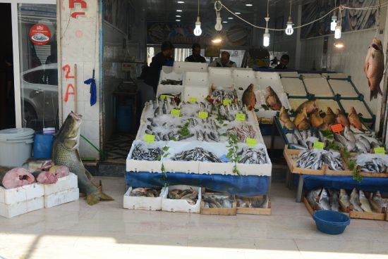 Şırnak'ta 130 kiloluk balık yakalandı