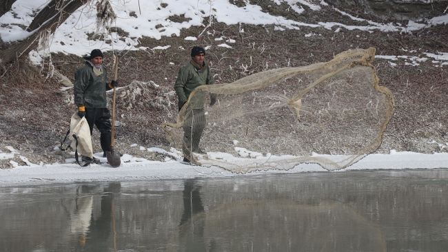 Buz gibi suya ağ atıyorlar