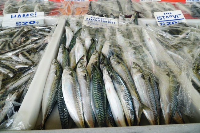 Balıkçılar havaların soğumasını bekliyor