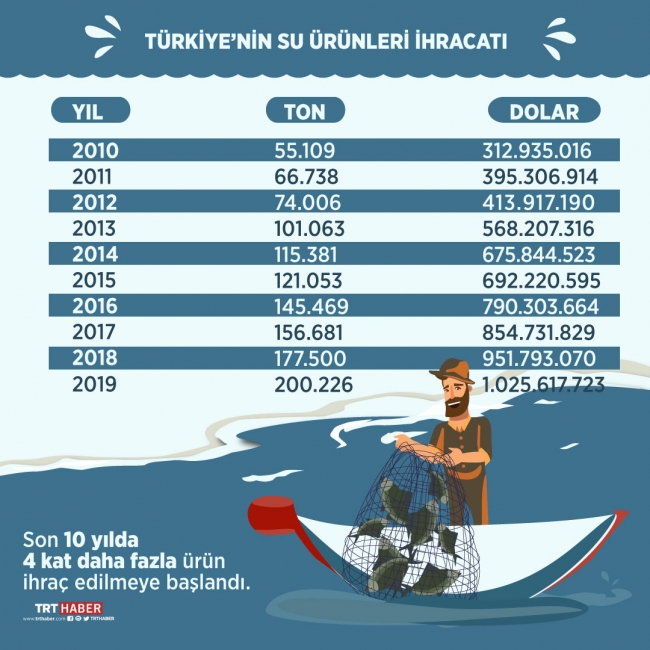 Grafik: Şeyma Özkaynak
