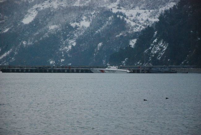 Bartın'da denize düşen Rus gemici kayboldu
