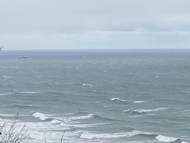 Bartın'da kayıp 5 mürettebat aranıyor