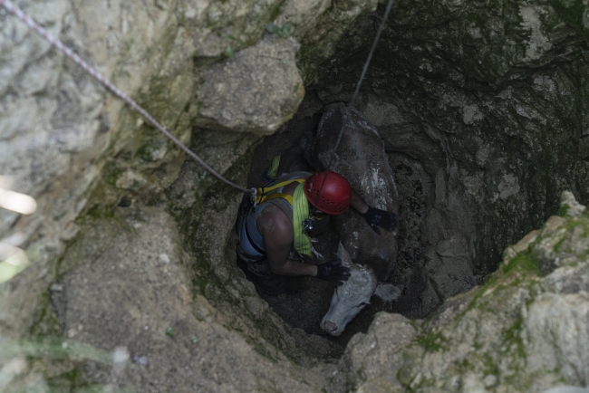 Kuyuya düşen ineği itfaiye kurtardı
