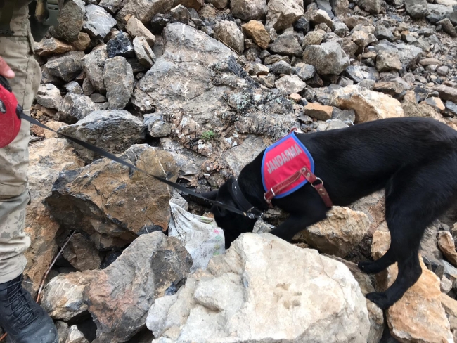 Başkale'de teröristlerin tuzakladığı patlayıcılar imha edildi