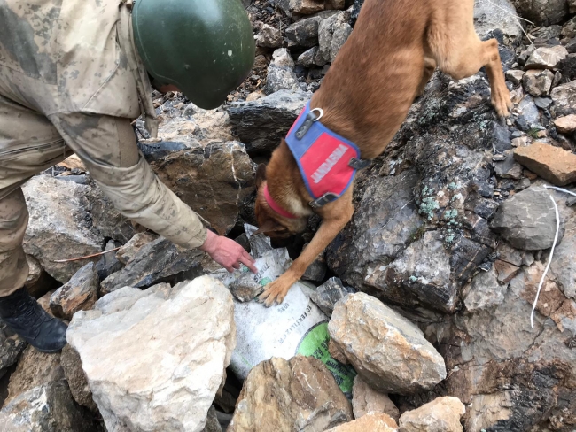 Başkale'de teröristlerin tuzakladığı patlayıcılar imha edildi