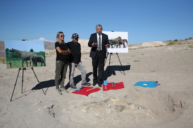 Kayseri'de 7,5 milyon yıllık fosil bulundu