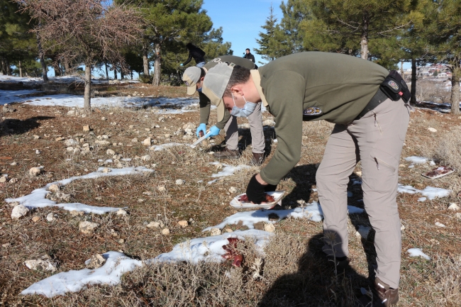 Batman'da yaban hayvanları için doğaya yiyecek bırakıldı