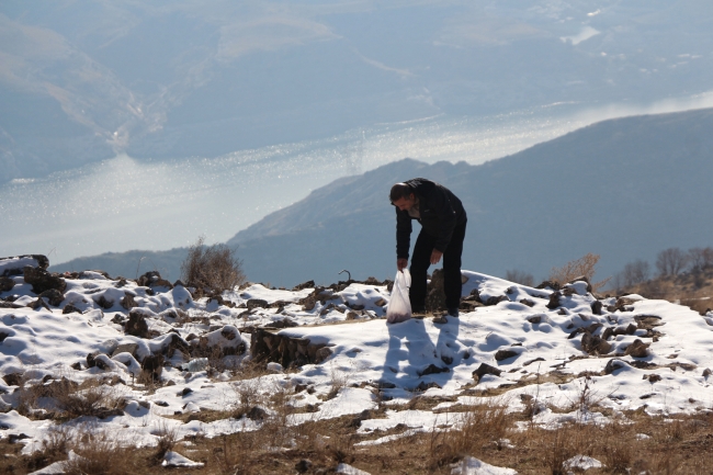 Batman'da yaban hayvanları için doğaya yiyecek bırakıldı