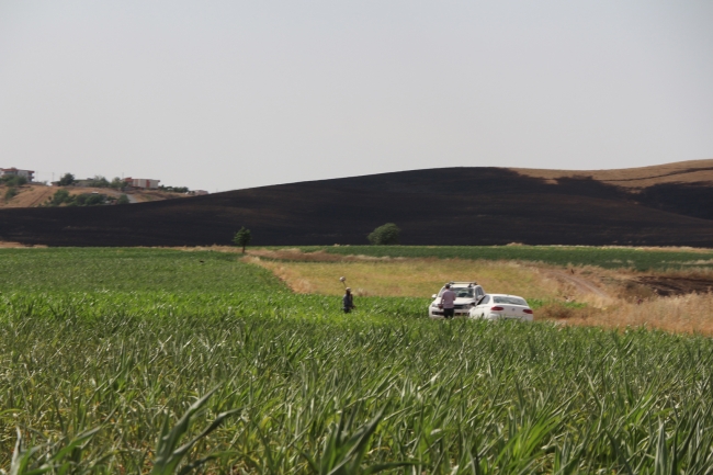 Batman'da ekili alanlara yıldırım düştü, 600 dönüm küle döndü