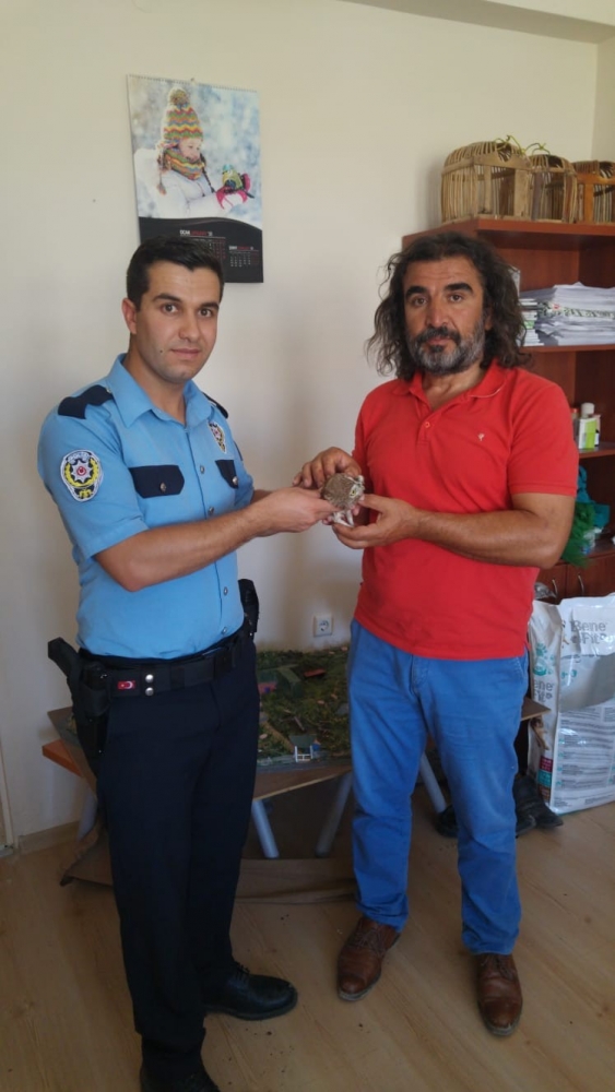Polis memuru yaralı baykuşun sağlığına kavuşmasını sağladı