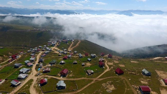 Karadeniz yaylalarında bulutların üzerinde yaşam