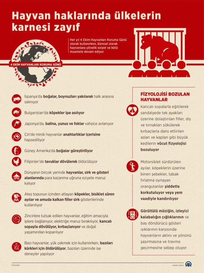 Ülkeler hayvan haklarını korumada sınıfta kaldı